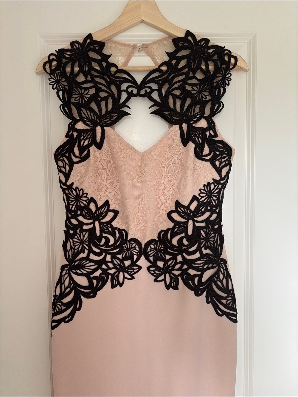 Lipsy Blush Maxi Dress with Black Floral Appliqué